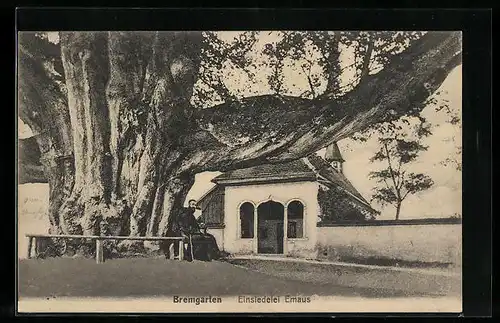 AK Bremgarten, Einsiedelei Emaus, Alter Baum