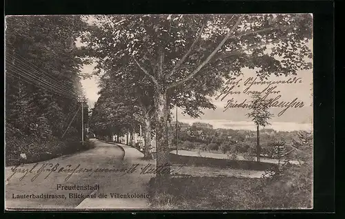 AK Freudenstadt, Lauterbadstrasse, Blick auf die Villenkolonie