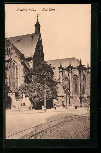 AK Freiberg /Sa., Gesamtansicht Freiberger Dom