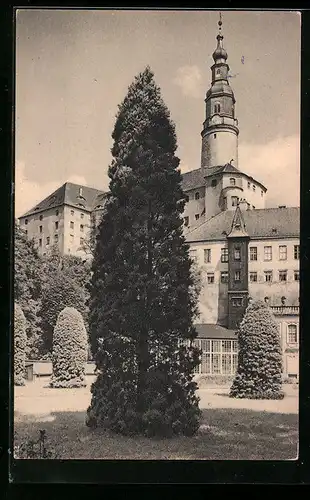 AK Weesenstein, Parkbild mit Schloss
