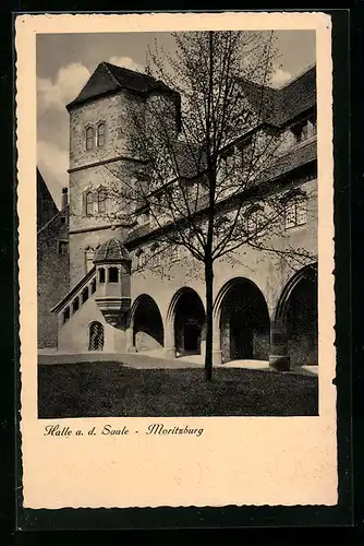 AK Halle a. d. Saale, Moritzburg im Sonnenschein