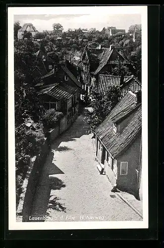 AK Lauenburg a. d. E., Blick auf die Strasse Hohlerweg