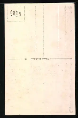 AK Coswig /Anhalt, St. Nicolai-Kirche bei Sonnenschein