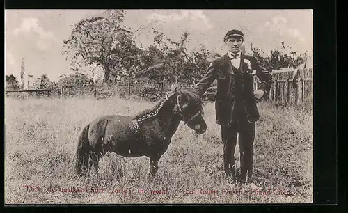 AK The smallest entire Horse in the World, Sir Robert Fossett`s Grand Circus