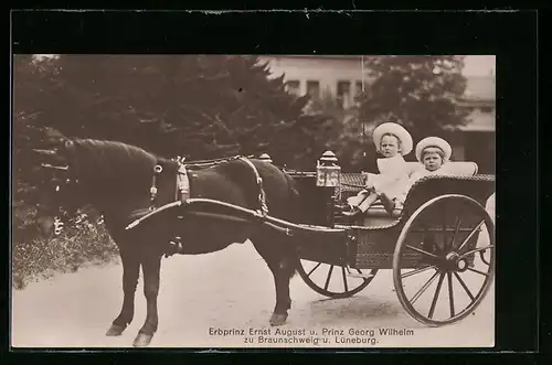 AK Erbprinz Ernst August und Prinz Georg Wilhelm zu Braunschweig und Lüneburg