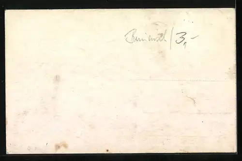 AK Bad Schandau, Dampfer Dresden