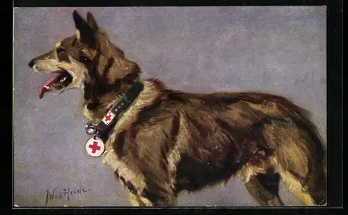 Künstler-AK Deutscher Schäferhund mit Rotkreuzanhänger und -halsband