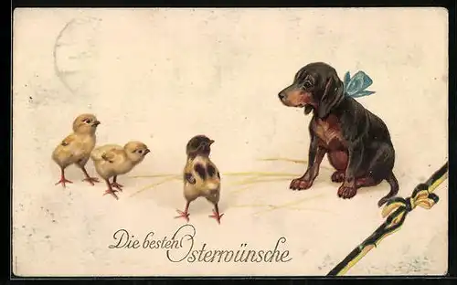 AK Dackel und drei Küken, Ostergruss