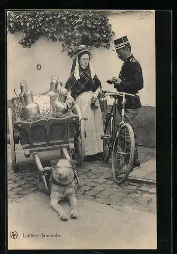 AK Laitière flamande, Hundegespann