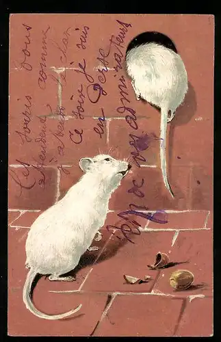 AK Weisse Mäuse und Haselnüsse