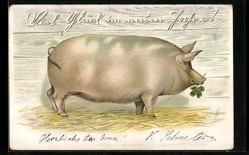 AK Schwein mit Kleeblatt, Viel Glück im neuen Jahr!
