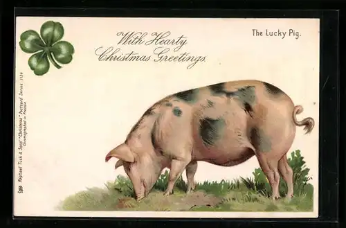 Künstler-AK With Hearty Christmas Greetings, geschecktes Schwein, Glücksklee