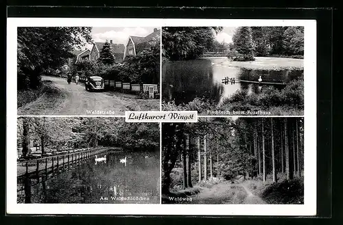 AK Wingst, Ufer mit Tischen am Gasthaus Waldschlösschen, Waldstrasse, Fischteich beim Forsthaus, VW-Käfer