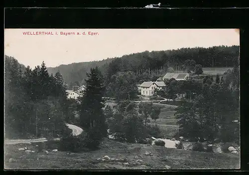 AK Wellerthal /Bay., Ortsansicht mit Landstrasse und Eger