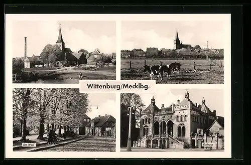 AK Wittenburg /Mecklbg., Am Wall, Rathaus und Kühe auf der Weide