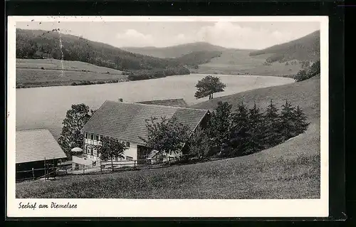 AK Kotthausen am Diemelsee, Blick auf den Seehof, Bes. Jos. Knust