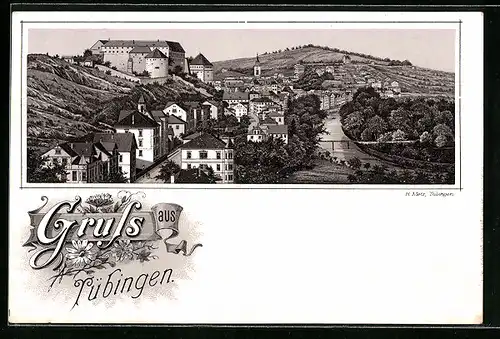 Lithographie Tübingen, Ortsansicht mit Umland