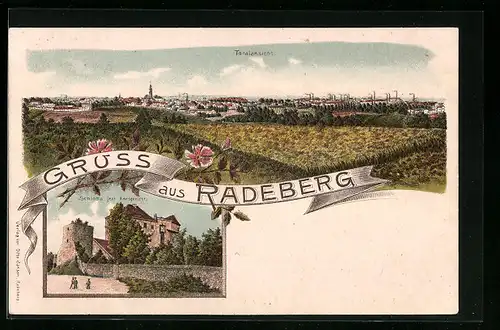 Lithographie Radeberg, Ortspanorama, Schloss / Amtsgericht