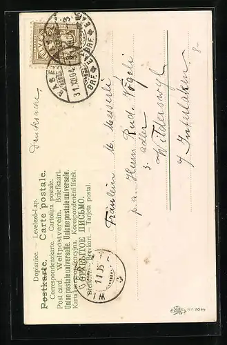 AK Jahreszahl 1905, Mohnblumen zu Neujahr