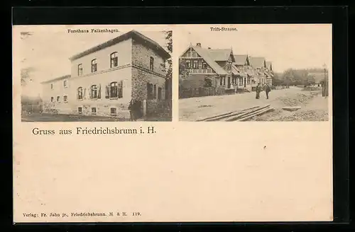 AK Friedrichsbrunn i. H., Forsthaus Falkenhagen und Trift-Strasse mit Graben