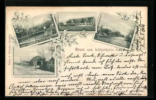 Passepartout-AK Lütjenholm, Strassenpartie und Gehöfte