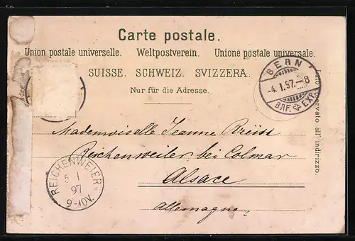 Lithographie Bern, Teilansicht mit Kirchen, Bärengrauen