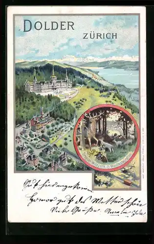 Lithographie Zürich, Dolder, Grosser Wildpark mit Waldrestaurant, Panorama