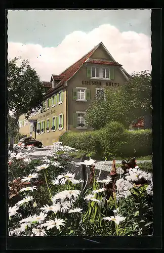 AK Oedsbach, Gasthof-Pension Zum grünen Baum, Bes.: Familie Karl Müller