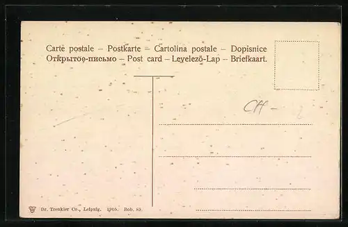 AK Unterseen, Teilansicht, Heidenhäuser und Kirche