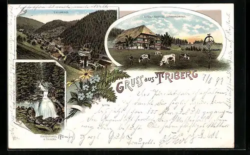 Lithographie Triberg, Bauernhaus, Wasserfall