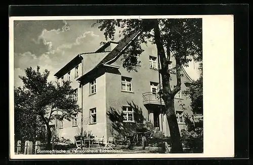 AK Dahl a. d. Volme, Pensionshaus Eichelnbleck, Bes. Wilh. Kaemper