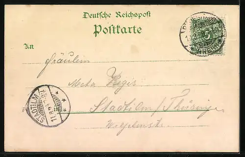 Lithographie Rüdesheim, Rheinpartie, Nationaldenkmal & Ruine Ehrenfels