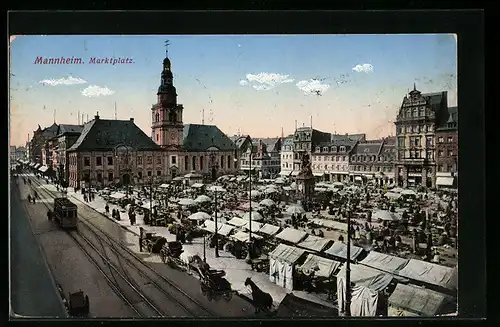 AK Mannheim, Strassenbahn am Marktplatz