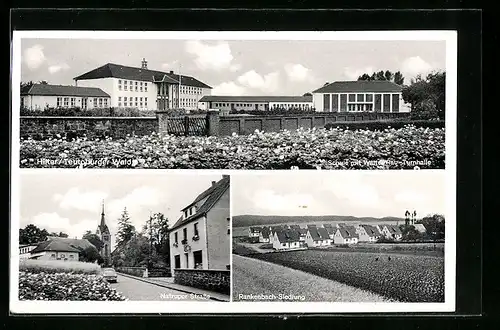 AK Hilter /Teutoburger Wald, Rankenbach-Siedlung, Schule mit Walter Rau- Turnhalle, NatruperStrasse