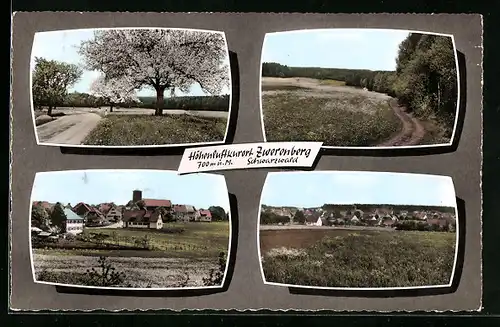AK Zwerenberg, Strassenpartie, Waldpartie, Panoramaansicht, Teilansicht