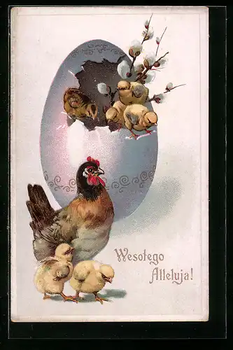 AK Schlüpfende Osterküken mit Henne