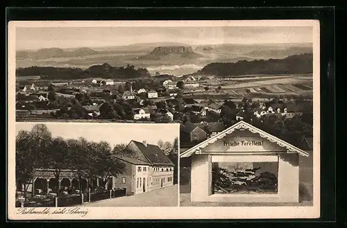 AK Rathewalde /Sächs. Schweiz, Büttner`s Gasthaus, Teilansicht mit Forellen im Aquarium