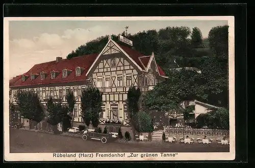 AK Rübeland / Harz, Hotel zur grünen Tanne