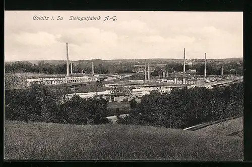 AK Colditz i. Sa., Totalansicht der Steingutfabrik AG