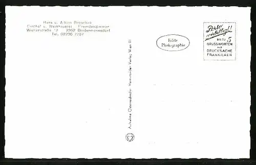 AK Biedermannsdorf, Gasthof Broschek, Aussen- u. Innenansichten, Wienerstrasse 12