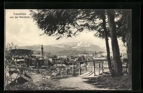 AK Traunstein, Blick von der Weinleite