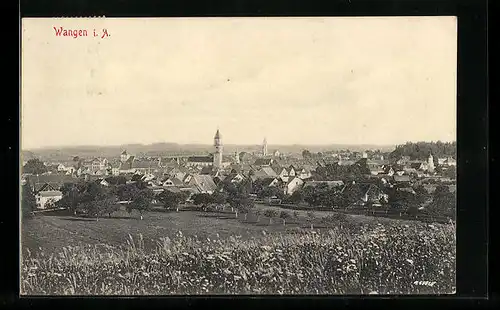 AK Wangen i. A., Ortsansicht mit Weitblick