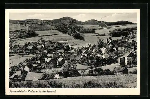 AK Hesborn /Hochsauerland, Ortsansicht mit Umland