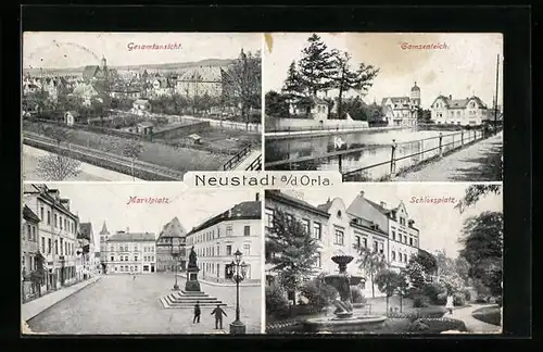 AK Neustadt a. d. Orla, Ortsansicht, Gamsenteich, Marktplatz, Schlossplatz