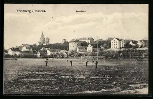 AK Friedberg i. H., Totalansicht von der Seewiese