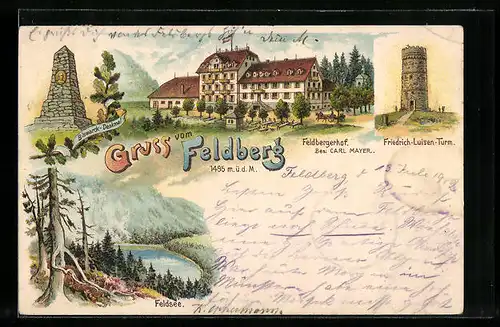 Lithographie Feldberg / Schwarzwald, Hotel Feldbergerhof, Friedrich-Luisen-Turm