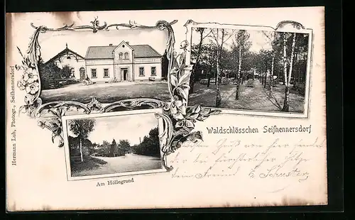 AK Seifhennersdorf, Gasthaus zum Waldschlösschen, Partie am Höllergrund