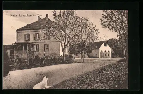 AK Trier, Nell`s Ländchen mit Hund