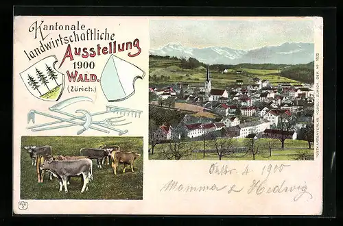 AK Wald, Kantonale landwirtschaftliche Ausstellung 1900