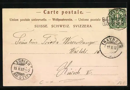 Passepartout-AK Thayngen, Ortspartie, Ortspanorama mit Kirche